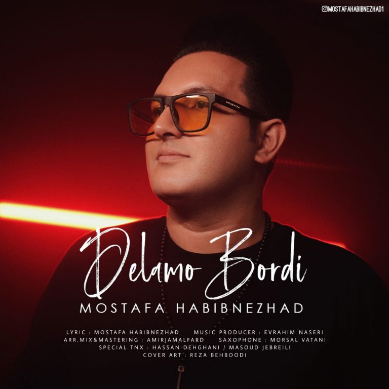 دانلود آهنگ مصطفی حبیب نژاد دلمو بردی